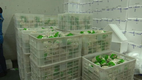 省直機關支援隊為我縣企業 牽線搭橋 擴寬產品購銷渠道